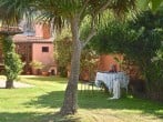 In the garden